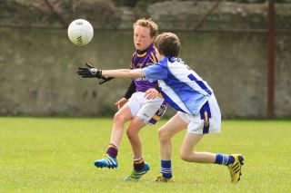 Féile B Team - Reports and Photographs