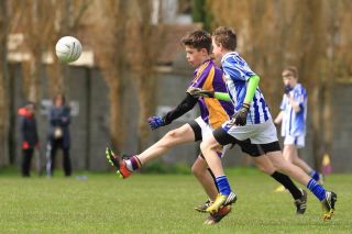Féile B Team - Reports and Photographs