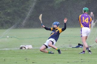 AHL2 v Faughs