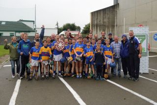 Applegreen All Ireland Hurling 7s - Under 13 Competition News