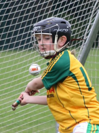 U8's Hurling Blitz