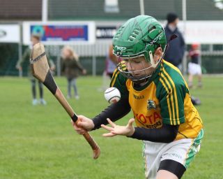 U8's Hurling Blitz