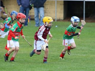 U8's Hurling Blitz