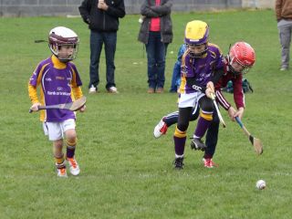 U8's Hurling Blitz