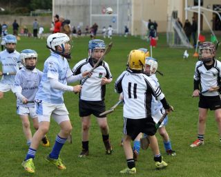 U8's Hurling Blitz