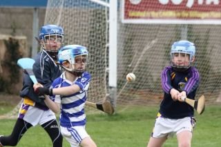 U8's Hurling Blitz