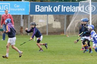 U8's Hurling Blitz