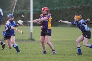 Senior 1 Camogie Team finish out league