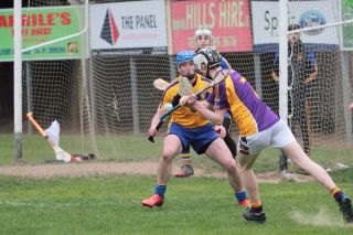 Mixed fortunes for Adult Hurling Championship Teams