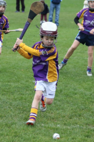 Hurling - Mini All Irelands - Teams and Schedule 