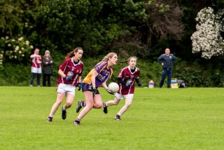 Junior F Ladies Football vs Raheny