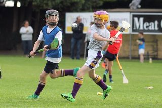 Hurling Mini All Ireland Finals