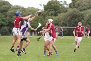 Senior B's beaten in Hurling Championship Quarter Final 