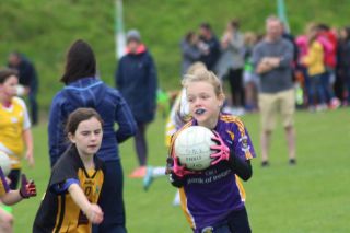 U8 and U10 Football Blitz in Passage West