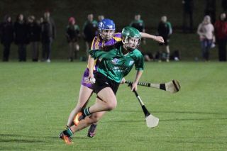 Ladies lose out to Lucan in Championship Final
