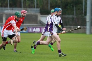 Senior Hurlers beaten by Cuala in Final
