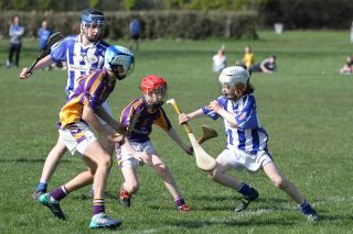 Hurling Féile Photos