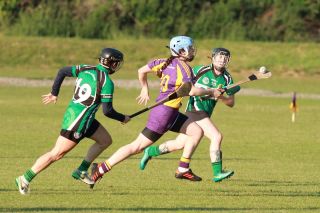 SeniorA Camogie team vs Erins Isle