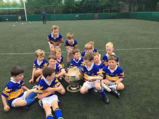  Under 8's Intercounty blitz  Sunday 27th May Parc De Burca