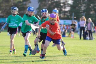 Photos from Mini All Ireland Camogie and Ladies Football Finals