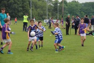 Crokes Under 9 Festival Of Football June 2nd UCD