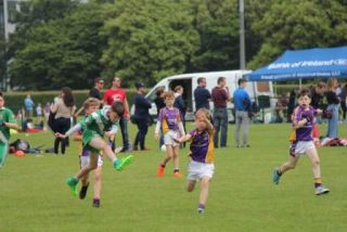 Crokes Under 9 Festival Of Football June 2nd UCD