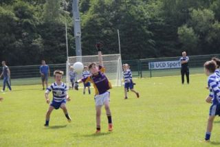 Crokes Under 9 Festival Of Football June 2nd UCD