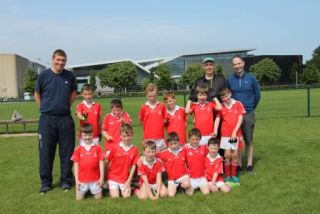Crokes Under 9 Festival Of Football June 2nd UCD