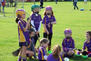 Go Game no. 8 versus Westmanstown Gaels away at Westmanstown Sunday 16th September