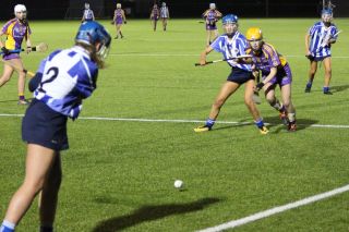 Minor A Camogie V Ballyboden - Championship Final 