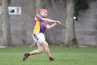 Winning start for AHL4 Hurling Team