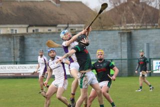 Senior ‘B’ Hurler’s good win over Parnell’s in Opening League Game of the 2019 Season