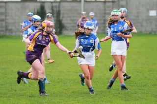 Good win against Celbridge for U16A Camogie team