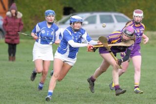 Good win against Celbridge for U16A Camogie team