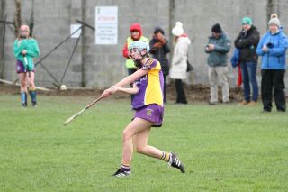 Good win against Celbridge for U16A Camogie team