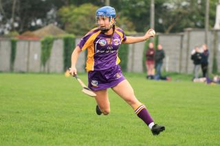 Good win for Senior Camogoie team against Raheny