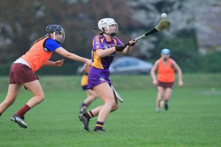 Good win for Senior Camogoie team against Raheny