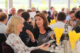 Kilmacud Crokes Hurling Punchestown 2019 Fundraiser