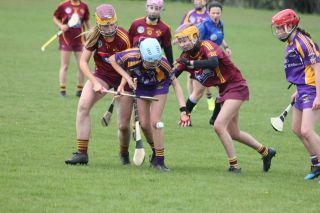 Stong performance for Minor Camogie Team against Plunketts