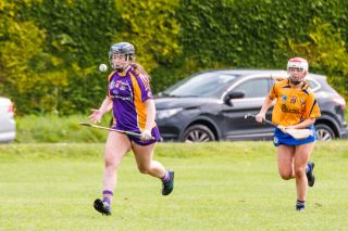 KIlmacud Crokes  Camogie Minor Group 1  Win over Na Fianna