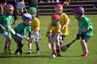 Photos from the BOI Hurling Mini All-Irelands
