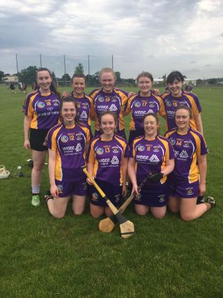 Camogie Girls Win Dunboyne 7's tournament