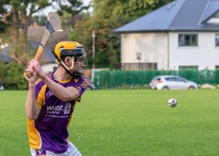 AHL3 Kilmacud Crokes v Peregrines