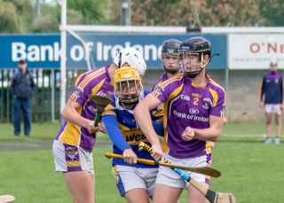 Minor C Hurlers Championship Game Versus Castleknock 