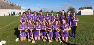 U13 Girls win Division 1 shield final