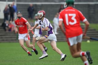 Good win for Minor A hurlers over Fingallians