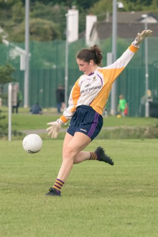 Ladies Football Go-Ahead Senior Championship Group A   Kilmacud Crokes Versus Fox cab
