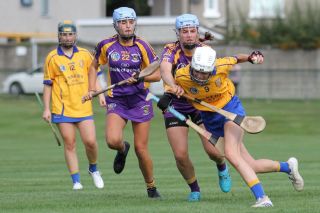 Senior Camogie team vs Na Fianna