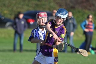 U14 A Hurlers -  Championship Final