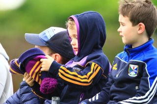 Senior B Hurlers unsuccessful in County Final